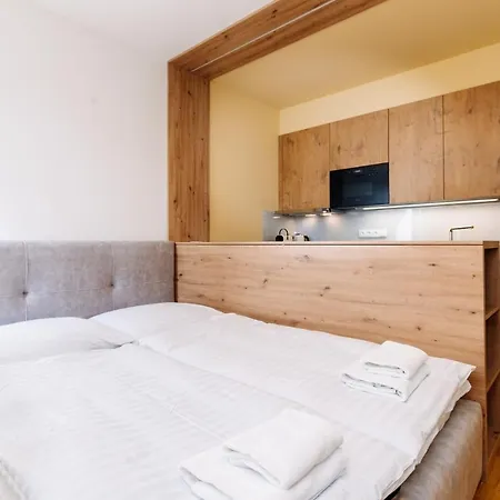 Horsky Temari 11 Klinovec Apartment Loučná pod Klínovcem
