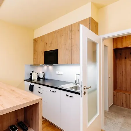 Horsky Temari 11 Klinovec Apartment Loučná pod Klínovcem